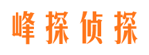 蓝山市婚外情调查